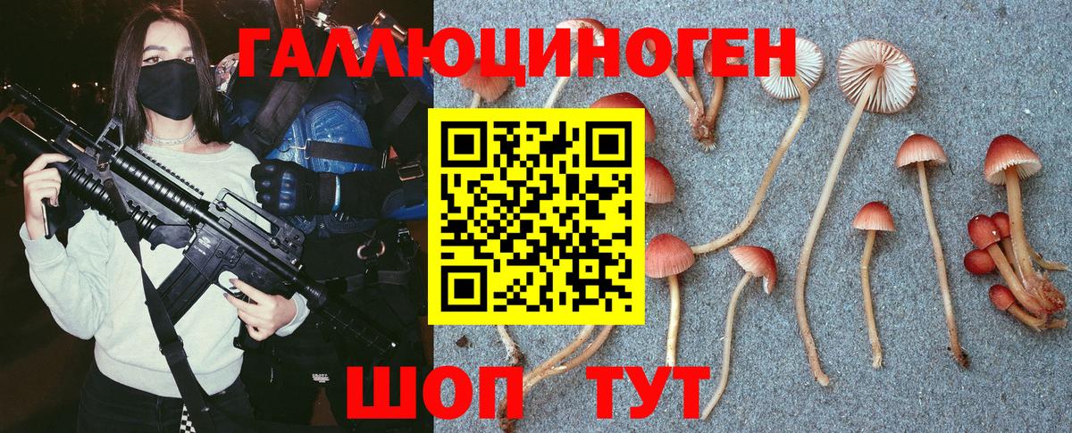 Артём  дарнет шоп  Вход с VPN  Галлюциногенные грибы мицелий 